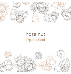 Hazelnut Web Banner With Nuts And Leaves Fruits