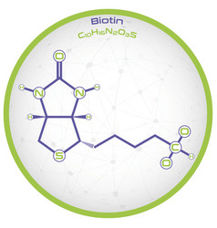 Infographic Molecule Biotin