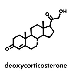 Deoxycorticosterone Doc Mineralocorticoid Hormone