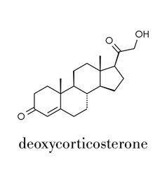 Deoxycorticosterone Doc Mineralocorticoid Hormone