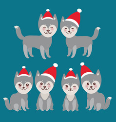 New Year39s And Christmas Funny Gray Husky Dog