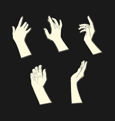 Set Of Human Hands With Different Graceful