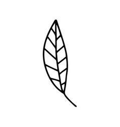 Doodle Leaf Plant Isolated