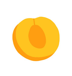 Apricot In Section Doodle Isolated