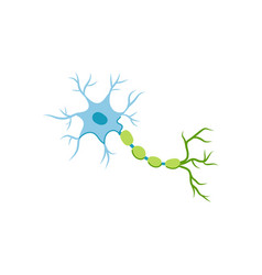 Brain Neurons Cartoon