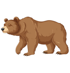 Grizzly Bear Cartoon