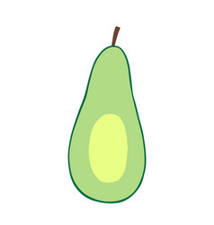 Avocado In Section