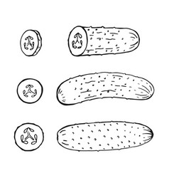 Set Of Cucumber Outline Hand Drawn Farm Market