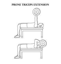 Prone Triceps Extension Exercise Strength Workout