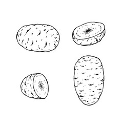 Set Of Potato Outline Hand Drawn Farm Market