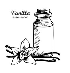 Vanilla Essential Oil Flower And