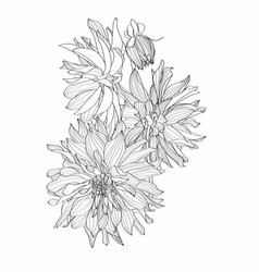 Dahlia Flowers Bouquet In Black Line