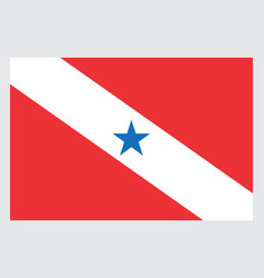 Flag Para State