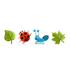 Funny Insect Small Crawling Animal Set