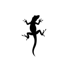 Lizard Design Animal And Reptile Gecko