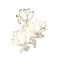 Golden Magnolia On A White Background Line Art