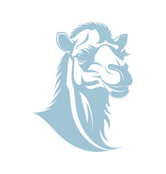 Image Of A Camel Head On A White Background