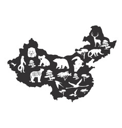 China Silhouette