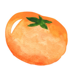 Persimmon Watercolor