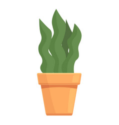 Succulent Plant Pot Icon Cartoon Summer