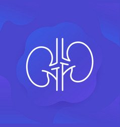 Kidneys And Nephrology Line Icon