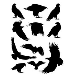 Eagle flying silhouettes Royalty Free Vector Image