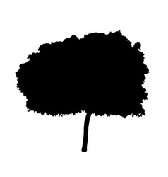 Young Tree Silhouette