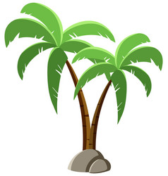 Coconut Tree Isolated