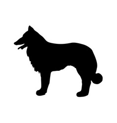 Collie Black Silhouette Of A Dog