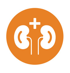 Kdneys Nephrology Icon Orange Color Eps