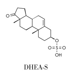 Dehydroepiandrosterone Sulfate Dhea-s Natural