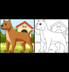 Pitbull Dog Coloring Page Colored