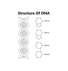 Scientific Icon Spiral Of Dna And Rna