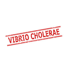 Vibrio Cholerae Stamp With Unclean Texture