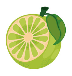 Lemon Fruit Icon