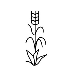 Yellow Barley Plant Line Icon