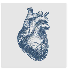 Heart Hand Drawn Blue Sketch