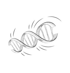 Realistic Dna Helix Molecule With Genes