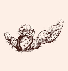 Hand Drawn Of A Cactus With Flower Emerging