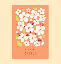 White Cherry Flower Poster Spring Tree Blossom