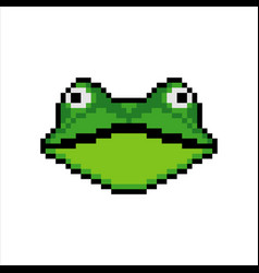 Frog Face Head With Pixel Art