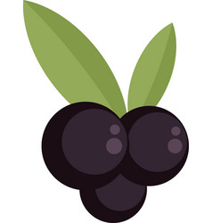 Blackcurrant Icon Flat Isolated