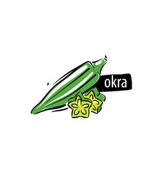 Drawn Okra Isolated On A White Background