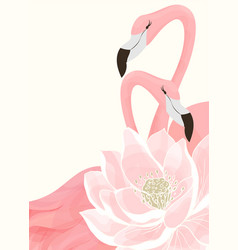 Love Couple Flamingos On A Lotus Background