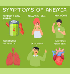 Anemia icons set Royalty Free Vector Image - VectorStock