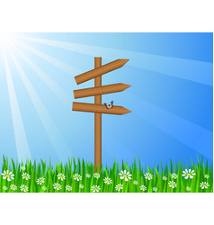 Grassy Field And Sign Post