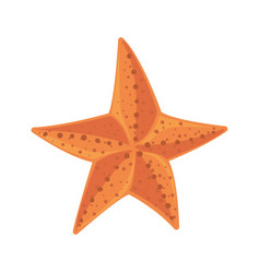 Orange Starfish Design