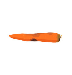 Spoiled Carrot Vegetable