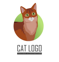 Somali Cat Flat Design