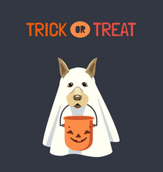 Dog In Ghost Costume With Halloween Bucket